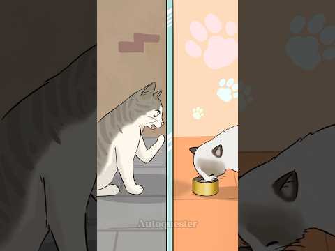 Your prank is their nightmare.#cat #animals #animation