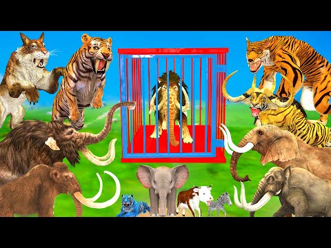 5 Giant Lion Mammoth Elephant Bull vs 10 Giant Tiger Wolf Attack Baby Elephant Cow Saved By Mammoth