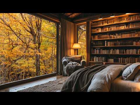 Autumn Rain Sounds for Sleeping & Studying | Soothing Nature Sounds (3 Hours)