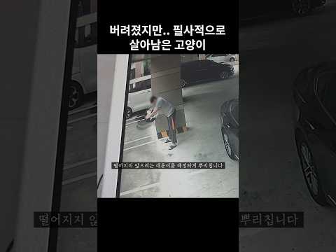 필사적으로 살아남은 고양이..
