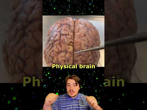 The Split Brain Experiment ?