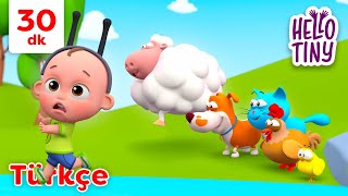 Marş Marş Şarkısı 🐑🐈‍⬛ Hayvanlarla yürüyüş yap! | Bebekler için şarkılar | Hello Tiny Türkçe