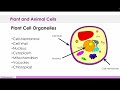 Exploring Plant and Animal Cell Structures