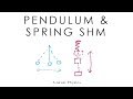 Simple Harmonic Motion Concepts