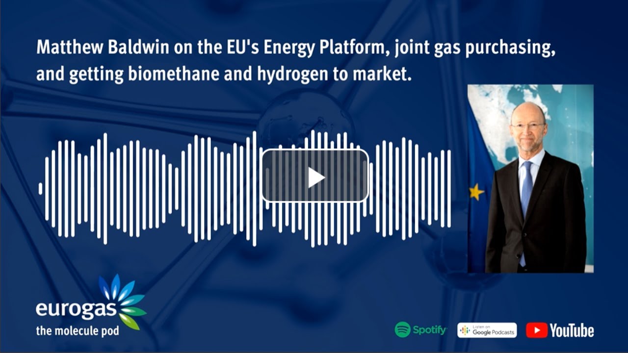 Ep. 2 | Joint gas purchasing in Europe: so far a success?