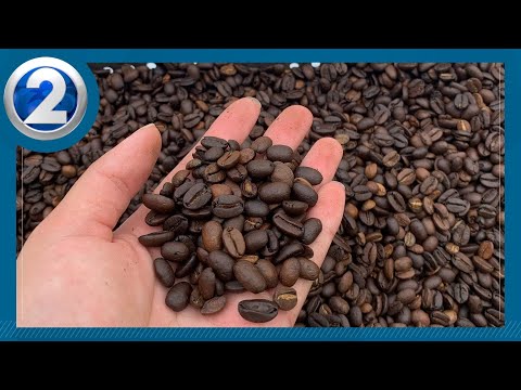 YouTube video thumbnail: Mislabeled: Hawaii Woman Arrested for Kona Coffee Scam