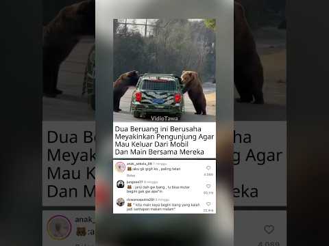 AYO BANG MAIN MUTER-MUTER KAYA GINI