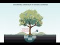 EU Agriculture and Renewable Energy Challenges