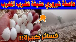 🔴 عاصفة تبروري عنيفة تضرب المغرب | خسائر فلاحية كبيرة بجبل أبرشان جماعة بركين