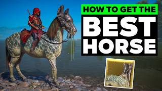 Assassin's Creed Shadows | How to Get the Secret Horse