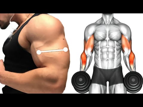 The 6 best exercises for biceps.