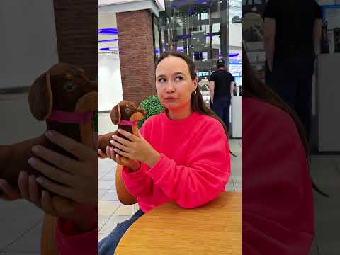 小歇袝袛袨袘袧蝎袡 效袗袩袠孝袨小袠袣馃槄