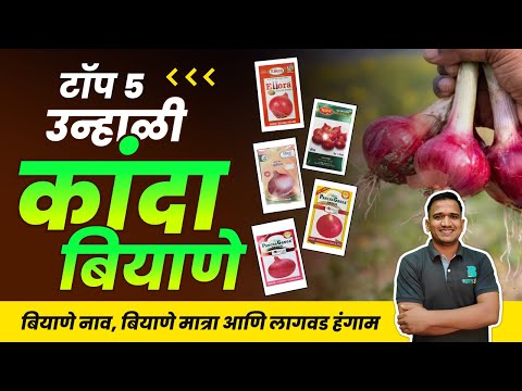 टॉप 5 उन्हाळी कांदा बियाणे | unhali kanda biyane | best onion variety #onion #onionseeds