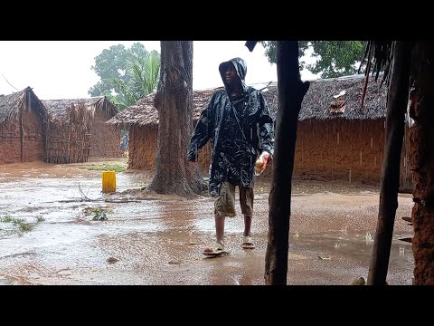 A Very Beautiful Rainy Day in African Village #cooking Most Organic Vegetables for Dinner