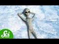 Exploring Life on Icy Worlds