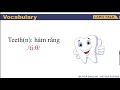 Understanding Teeth