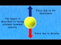 Understanding the Basics