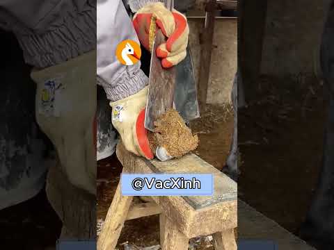 Từ nay bé ngựa sẽ chạy nhanh hơn trước !! #shorts