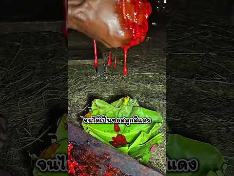 ผลไม้สีแดงของคนในชนเผ่า ทำเป็นอาหาร