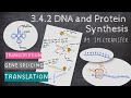 RNA Structure and Function Concepts
