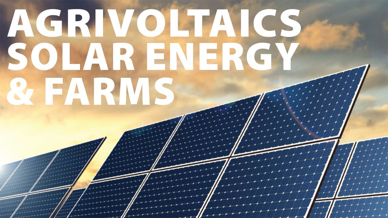How Agrivoltaics Can Become The Next Energy Breakthrough