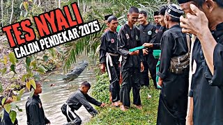 TES NYALI PENDEKAR PAGAR NUSA 2025 ‼️Dunia nyata