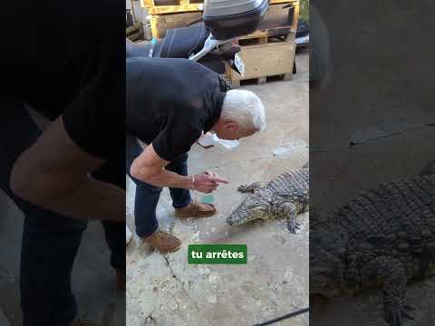 NIlo mange 🐊#video #shorts