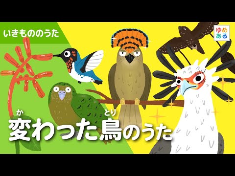 変わった鳥のうた🐤