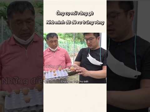 Ông cụ này nói rằng gà nhà mình đã đẻ ra trứng vàng | những điều hay ho
