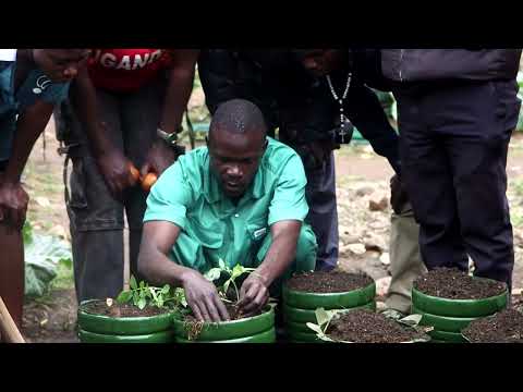 YouTube video thumbnail: Ugandan Youth Turn Slums Into Sustainable Urban Farm