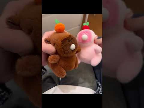 #iboop #iBOOP #capybara #peluches #plushtoys #plush #plushies #regalos #gifts #capibara #dolls