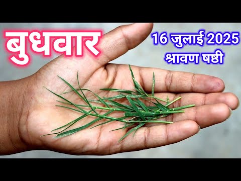 16 जुलाई बुधवार के दिन🤫जरूर कर लेना यह एक काम बदल जाएगी आपकी किस्मत धन-धान्य आपके जीवन में बरसेगा