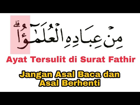 Ayat Tersulit Jadi Mudah di Surat Fathir, Betulkan Cara Baca Surat Fathir Ayat 28