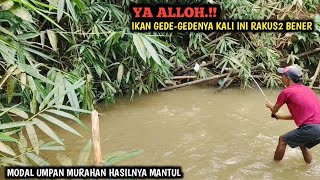ASTAGA.!!! SPOT INI IKANNYA BESAR BESAR SEMUA || MANCING PAKAI UMPAN MURAHAN HASILNYA DI LUAR DUGAAN