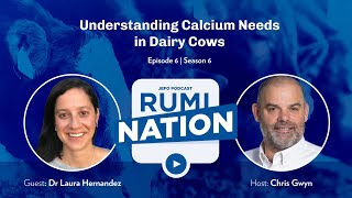 S6E6 | Understanding Calcium Needs in Dairy Cows with Dr. Laura Hernandez