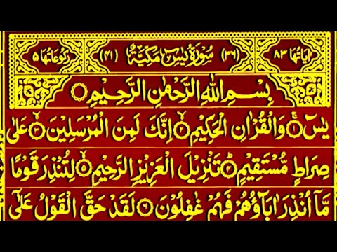 Surah Yaseen Surah Rahman || Surah Yasin full || Best Qur'an Recitation || Surah Yaseen Tilawat