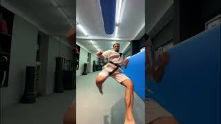 Taekwondo Kicks!