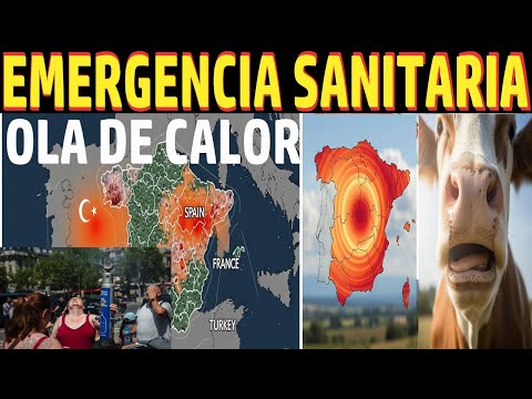 OLA DE CALOR PROVOCA EMERGENCIA SANITARIA Y FIEBRE AFTOSA