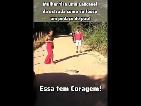 mulher tira Cascavel da estrada como se fosse um pedaço de pau!