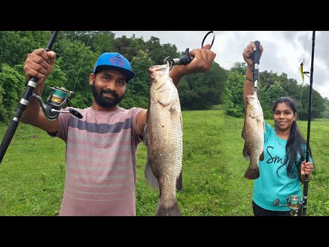 खूप दिवसांनी रॉड वरती पकडला जिताडा मासा , पावसाळ्यातील मासेमारी | fishing in kokan @TejaGurav