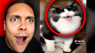 TikToks that are SUPPOSED to be FUNNY