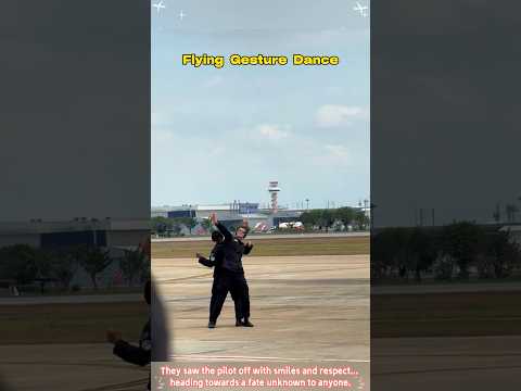Do you know why pilots need to do funny hand gestures and dances?#airforce #usa🇺🇸