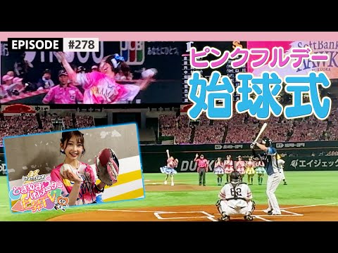 Kanamin Challenges the First Pitch Ceremony at PayPay Dome❕🔥🦅🦁 / epi.278 