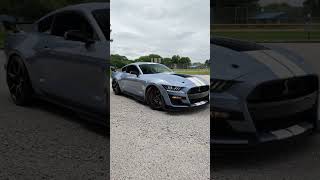 GT500 Super Snake