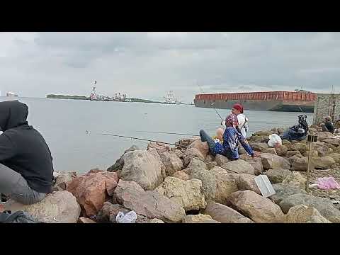 Dulur Mancing 88 LIVE #fishing