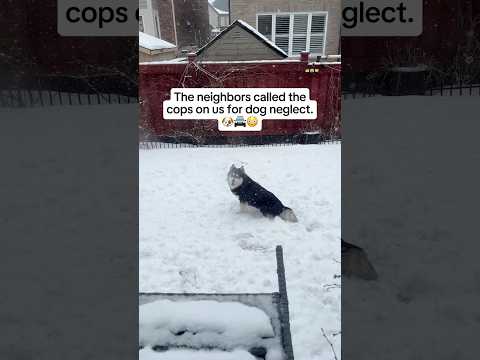 I can’t believe the neighbors actually called the cops.🚔🙄 #freezing #snow #winter #dog #cops #oops
