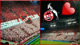 Köln-Fans Tifo mit gewaltiger Choreo | FC Köln - FC Slovácko 4:2  | effzeh Ultras tifo in EUROPE