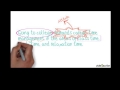 Understanding Thesis Statements
