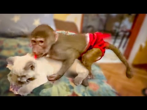 Раз, два, три, четыре, пять, Люська ВЫШЛА ПОИГРАТЬ! Кто не спрятался, Люся НЕ ВИНОВАТА