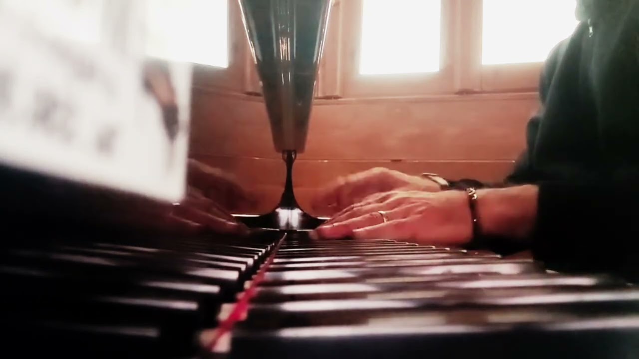 Davide Cantoro